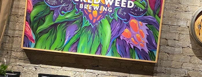 Funkatorium is one of AVL Breweries to visit.