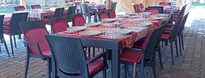 Mandıra Filozofu-Kümes Restaurant is one of İSTANBUL.