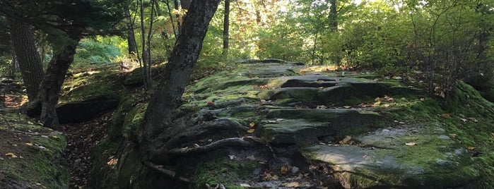 Virginia Kendall Ledges is one of Hot spots.
