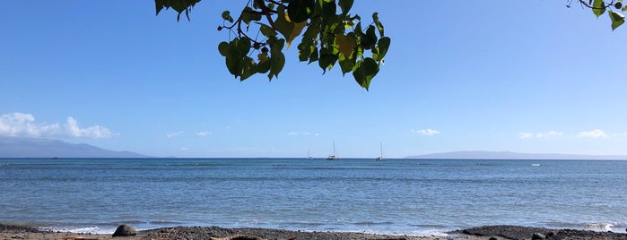 Olowalu Kayaking is one of Maui.