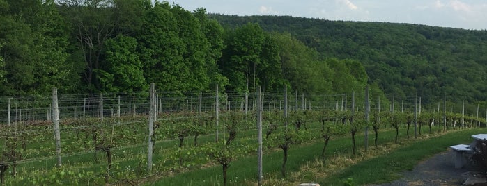 Walpole Mountain View Winery at Barnett Hill Vineyard is one of New Hampshire Wine and Cheese.