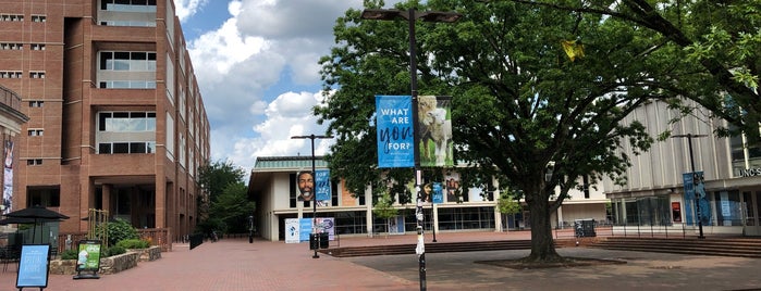 The Pit is one of UNC Chapel Hill.