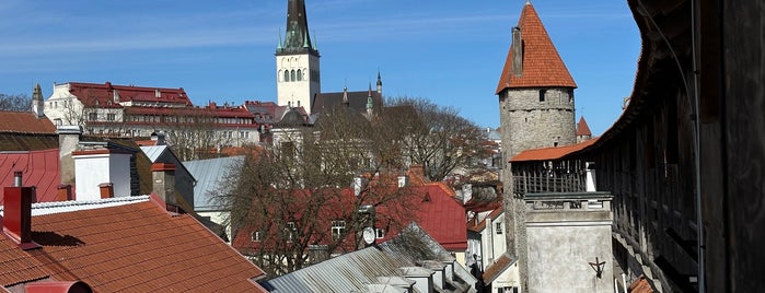 Hellemann Tower is one of Tallinn.