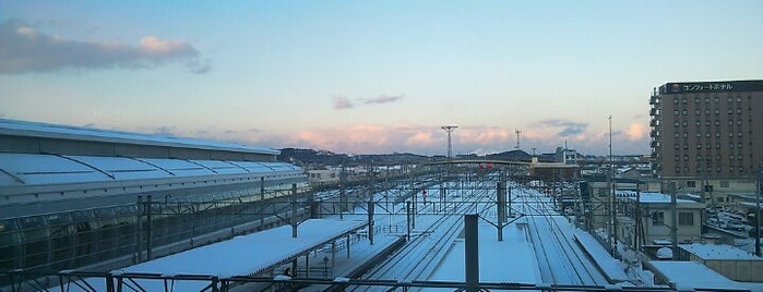 Hachinohe Station is one of 東日本・北日本の貨物取扱駅.