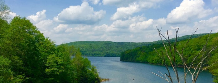 Gilbert Lake State Park is one of New York State Parks.