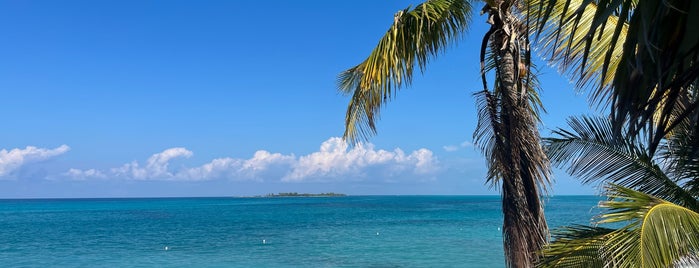 Sandy Toes, Rose Island is one of Nassau, Bahamas.