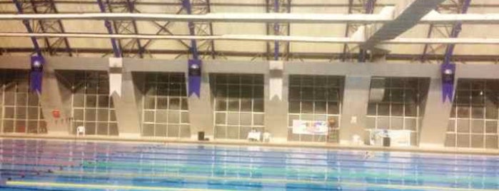 Karabük Üniversitesi Olimpik Yüzme Havuzu 🏊 is one of PıN@R 님이 좋아한 장소.