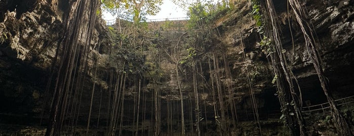 Cenote Oxman is one of Best Places.