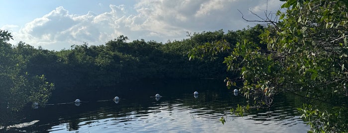 Cenote Tercer Cielo is one of My faves.