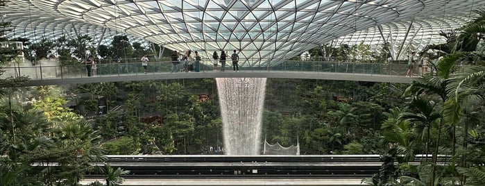 Canopy Park is one of Best of: Singapore.