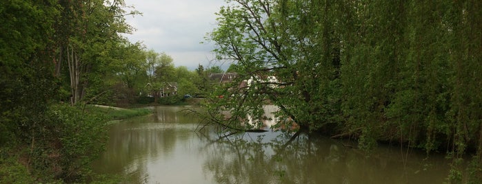 Wilhelminapark is one of สถานที่ที่ Kevin ถูกใจ.