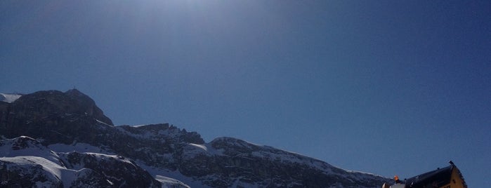 Silvretta Arena is one of giove.