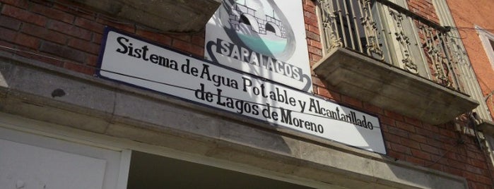 SAPALAGOS is one of DEPENDENCIAS GUBERNAMENTALES.