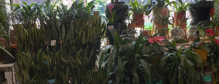 The Sill is one of The 15 Best Flower Stores in Brooklyn.
