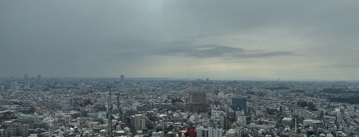 キャロットタワー 展望ロビー is one of The 15 Best Scenic Lookouts in Tokyo.