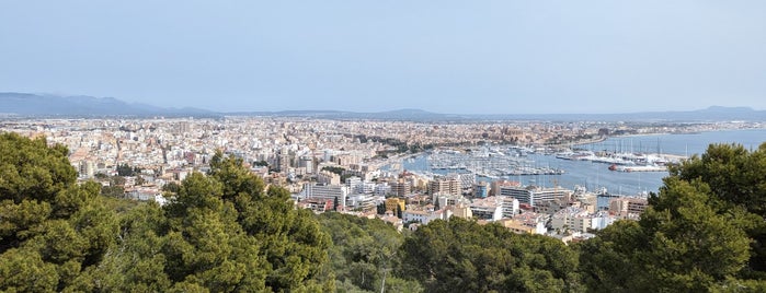 Castell de Bellver is one of Palma.