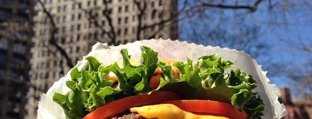 Shake Shack is one of NYC Places to Visit.