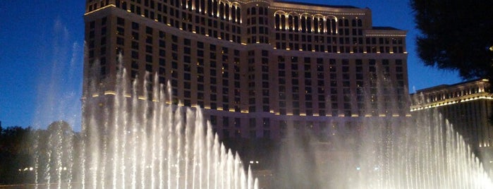 Fountains of Bellagio is one of USA Trip.
