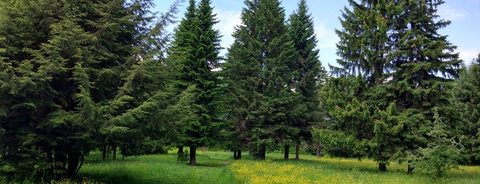 Ботанический сад is one of Best spots in  Nizhni Novgorod.