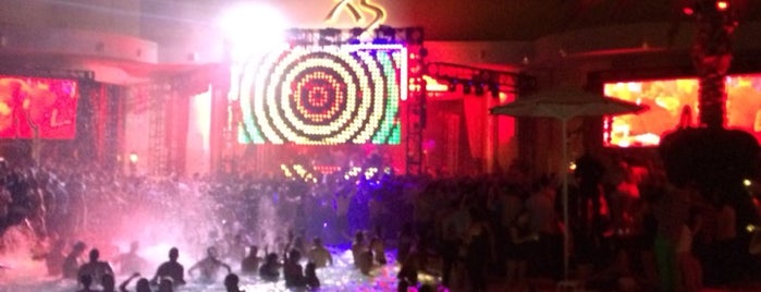 XS Nightclub is one of The 15 Best Places with a Swimming Pool in Las Vegas.