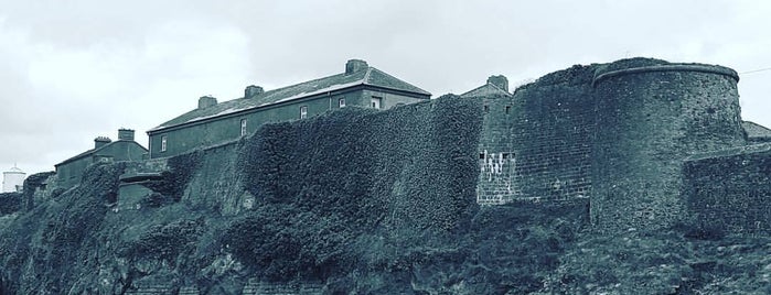 Duncannon Fort is one of Paloma : понравившиеся места.