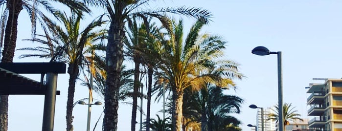 El Recodo Playa de San Juan Alicante is one of Posti che sono piaciuti a Alfons.