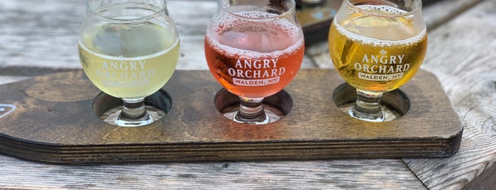 Angry Orchard Innovation Cider House is one of New Paltz, NY.