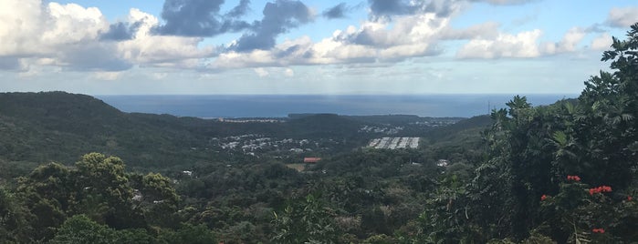 El Bohio de Jaime is one of สถานที่ที่ Sandra ถูกใจ.