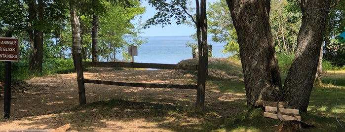 Brimley State Park is one of Michigan State Parks.
