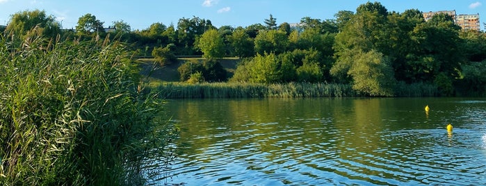 Jezioro Winiary is one of สถานที่ที่ Jus ถูกใจ.