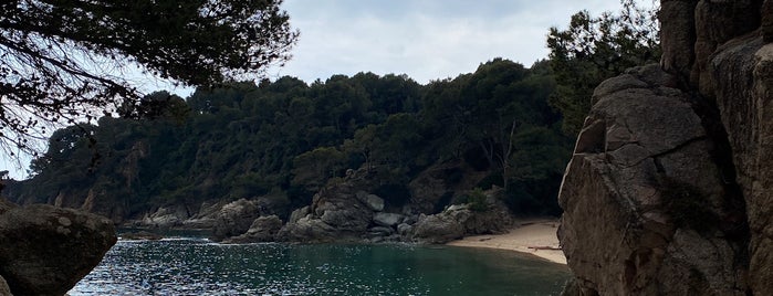 Cala Treumal is one of Blanes-Lloret.