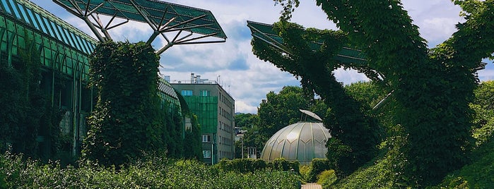 Ogród Botaniczny BUW is one of Warsaw Entertainment.
