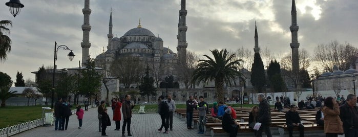 Sultanahmet is one of English & Spanish Official & Licensed Tour Guide.