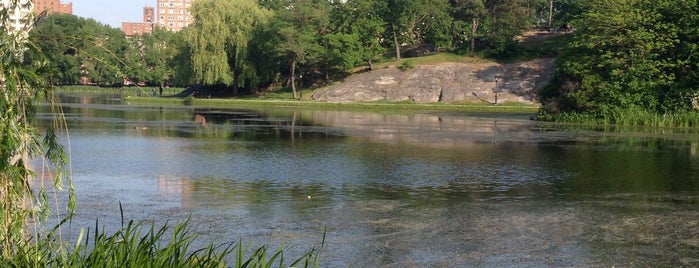 Central Park is one of New York.