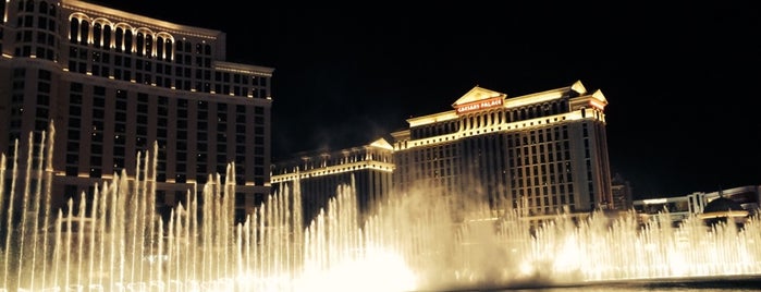 Fountains of Bellagio is one of 2014 USA Westküste & Las Vegas.