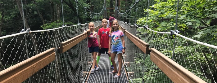 Holden Arboretum Canopy Walk is one of Summer in Cleveland.
