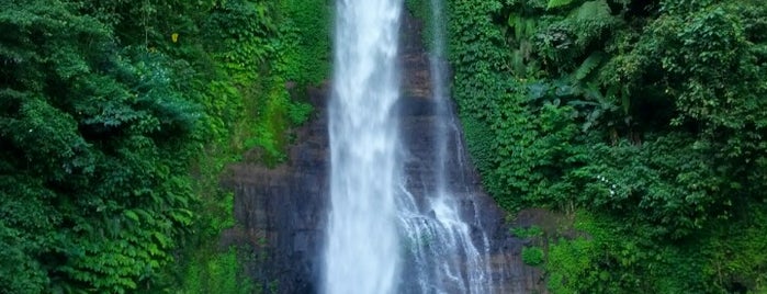 Gitgit Waterfall is one of My Bali ✌ Eat Play Surf.