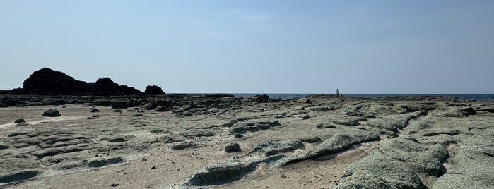 千畳敷海岸 is one of 自然地形.