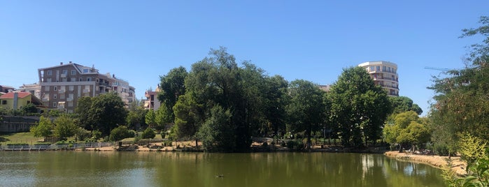 Orto Botanico di Tirana is one of Tirana.