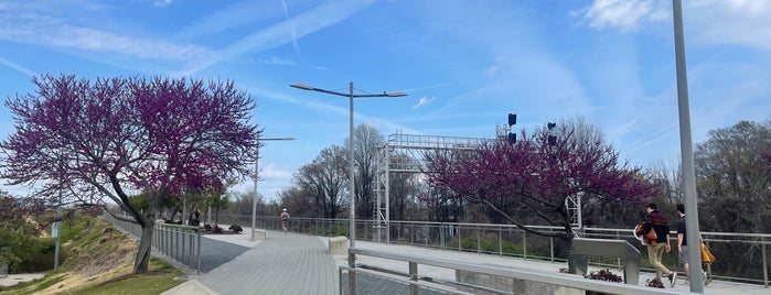 Long Bridge Park is one of Do: dmV ☑️.