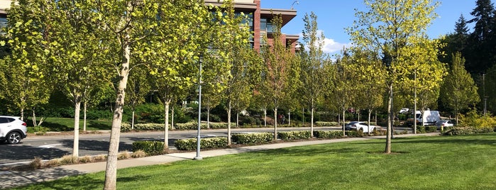 MSFT Commons Transit Center (CTC) is one of bus commute.