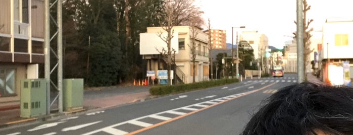 青梅マラソン スタート地点 is one of Orte, die Hide gefallen.