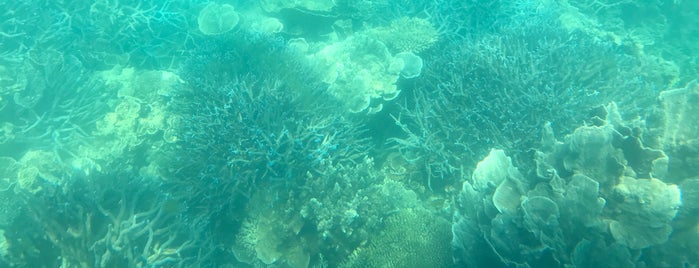 Ningaloo Coral Reef is one of Orte, die Andreas gefallen.