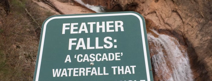 Feather Falls is one of Orte, die Lizzie gefallen.