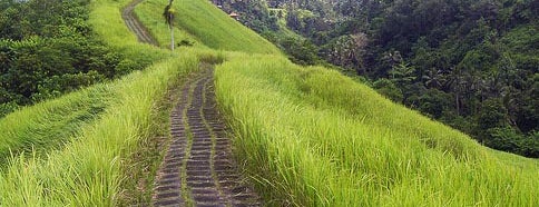 Bukit Campuhan is one of Bali - Ubud.