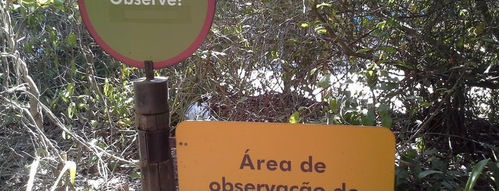 Parque dos Pássaros is one of Top 10 Entretenimentos.