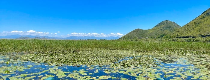 Skadarsko jezero is one of Travel.