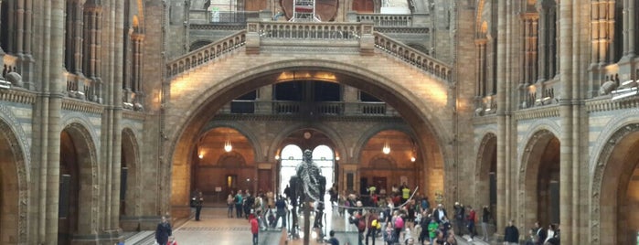 Natural History Museum is one of London.