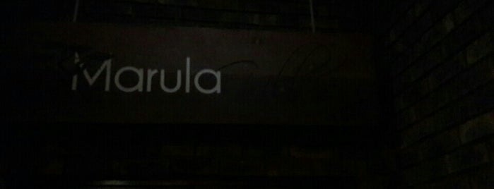 Marula Grill is one of sw-25.4_27.0_ne-25.3_27.1.