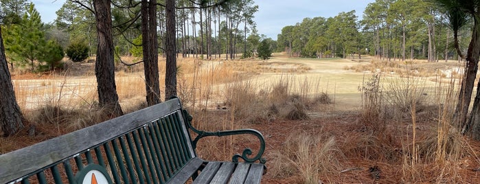 Pinehurst No. 4 Golf Course is one of Top 100 Public Courses 2021-22.